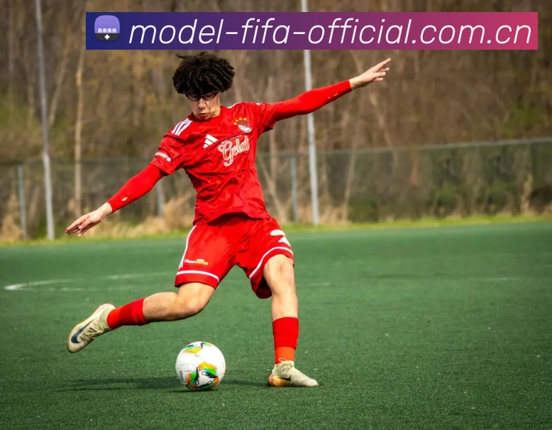 FIFA 官方数据授权认证